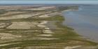 Near Brannigan Creek - Cape York - QLD (PBH4 00 14526)